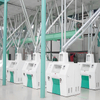 100-200Ton/24h Wheat Flour Milling Machine